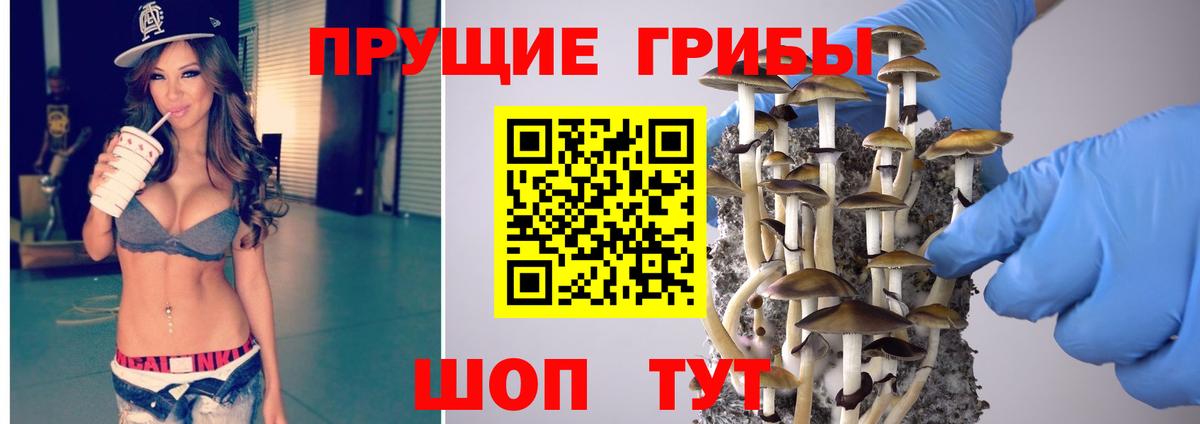 Кириши  Галлюциногенные грибы мицелий  Галлюциногенные грибы Psilocybine cubensis  Вход с VPN 